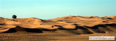 UAE Desert