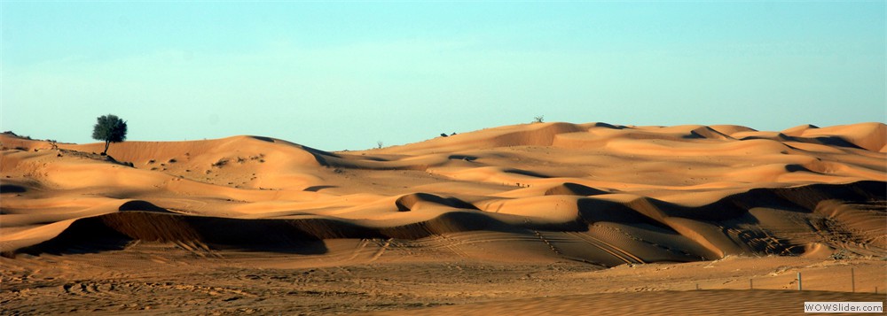 UAE Desert