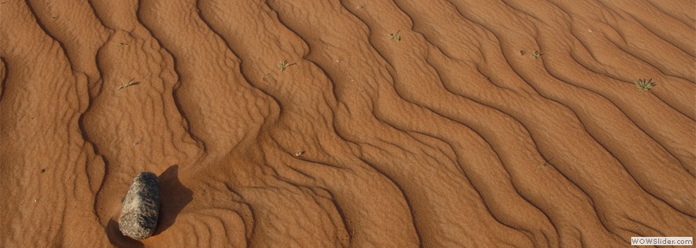 UAE Desert sand.